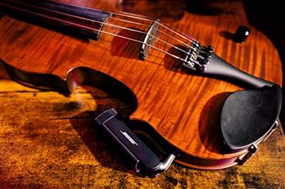 Bose S1 Pro+ TRS Transmiter - draadloze zender voor instrumenten