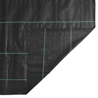 Worteldoek 1x150 m polypropeen zwart - thumbnail