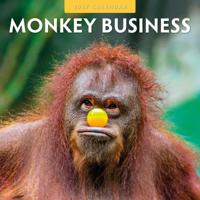 Monkey Business Kalender 2027 - thumbnail