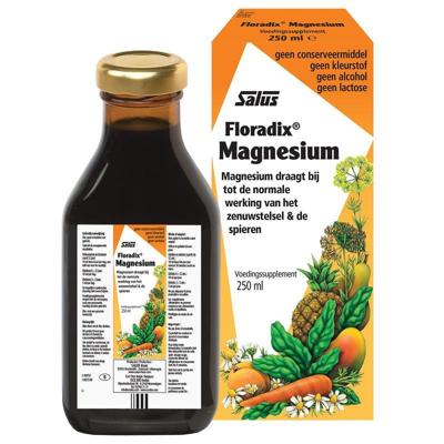 Salus Floradix Magnesium