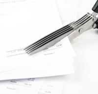 Vitility Schaar multiblad - thumbnail