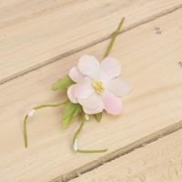 Bonbon doosjes - Chocolade doosje - Kersenbloesem Roze - 34 stuks - thumbnail