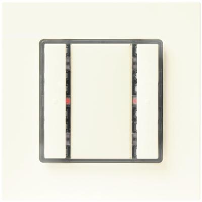 Siemens-KNX 5WG1221-2DB13 Toets