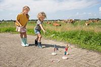 BS Toys ringwerpen vogels hout - werpspel - thumbnail