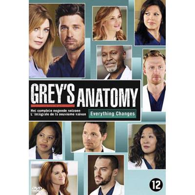 Grey's Anatomy - Seizoen 9 - DVD (8717418414214)