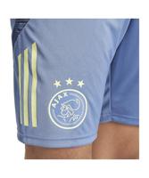 Ajax Trainingsbroekje Senior 2024/2025 - Maat XS - Kleur: GeelBlauw | Soccerfanshop - thumbnail