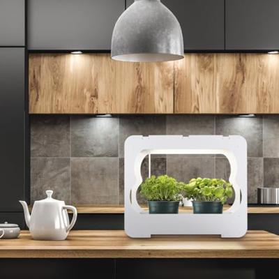 Xavax Kweekbak met LED Plantenlamp Wit