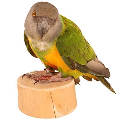 BACK ZOO NATURE FRUITKUIPJE HOUDER MET SCHROEF