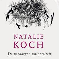 De erfenis van Richard Grenville - thumbnail