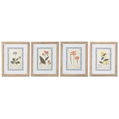 Schilderij Home ESPRIT Shabby Chic Botanische planten 40 x 2,5 x 50 cm (4 Stuks)
