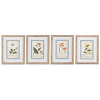 Schilderij Home ESPRIT Shabby Chic Botanische planten 40 x 2,5 x 50 cm (4 Stuks) - thumbnail