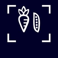 Siemens KI31RADD1 Inbouw koelkast zonder vriesvak - thumbnail