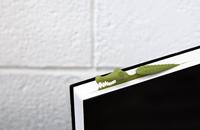 Peleg Design Crocomark wordt vertaald naar het Nederlands. - thumbnail