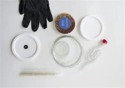 RotPot Fermentatie set - kimchi