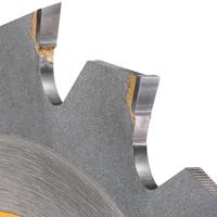 DeWALT Cirkelzaagblad voor Hout | Extreme Runtime | Ø 250mm Asgat 30mm 60T - DT99573-QZ - thumbnail