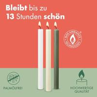 Bolsius rustiek tafelkaars olive - thumbnail