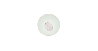 Foscarini Gioia Grande Wandlamp - Groen Foscarini Gioia Grande Wandlamp - Groen