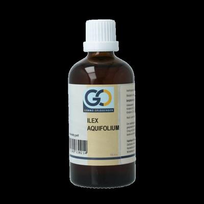 Ilex aquifolium bio 100 Milliliter
