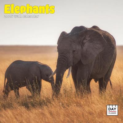 Olifanten Kalender 2026