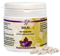 Salai - thumbnail