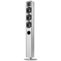 Piega: Ace 50 Vloerstaande speaker - Zilver - thumbnail