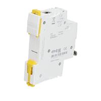 Schneider Electric A9S65191 100 A 240 V - thumbnail