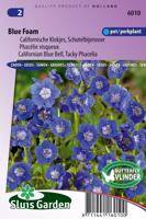 Phacelia Viscida comp. zaden Blue Foam droombijenvoer - thumbnail