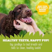 Soopa Dental Sticks banaan & pindakaas voor de hond Per 3 - thumbnail