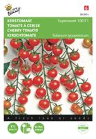 Kerstomaat super sweet - thumbnail