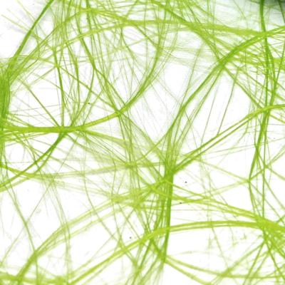 Vaessen Creative • sizoweb 25mx30cm limoen