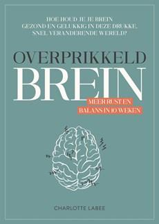 Overprikkeld Brein - Charlotte Labee - ebook