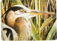 LG-Imports legpuzzel Specht junior karton 15 stukjes - thumbnail