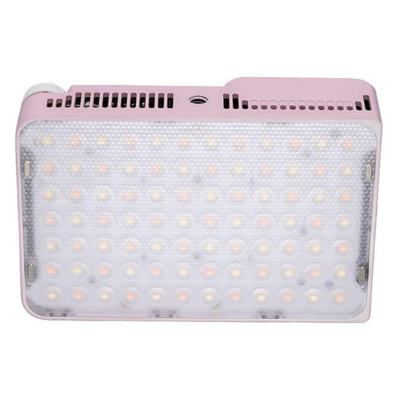 amaran Ace 25x Pink