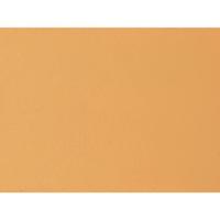 Auhagen 52441 H0, TT Muurplaat, gepleisterd Geel (l x b) 200 mm x 100 mm - thumbnail