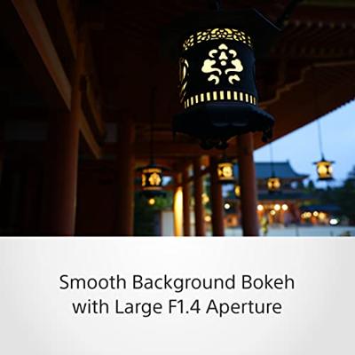 Sony Distagon T* FE 35mm f/1.4 ZA