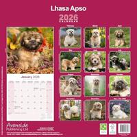 Lhasa Apso Kalender 2026 - thumbnail