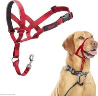 Trainingshalsbanden voor honden Company of Animals Halti Muilkorf (40-54 cm) - thumbnail