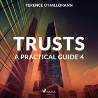 Trusts - A Practical Guide 4 - thumbnail
