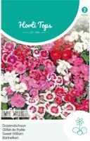 Zaden Dianthus Duizendschoon Wee Willie gemengd Hortitops - Hortitops - thumbnail