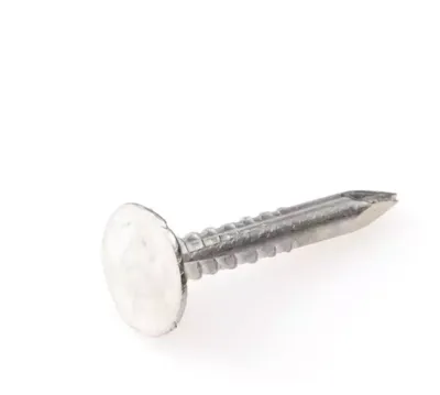 Eurofix asfaltnagel verzinkt 3,0x20 mm 350 gram Eurofix asfaltnagel verzinkt 3,0x20 mm 350 gram