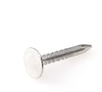 Eurofix asfaltnagel verzinkt 3,0x20 mm 350 gram - thumbnail