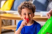 Jelly Blox Newbie Kit - thumbnail