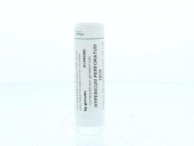 Homeoden Heel Hypericum perforatum 12CH 6 Gram Homeoden Heel Hypericum perforatum 12CH 6 Gram