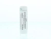 Homeoden Heel Hypericum perforatum 12CH 6 Gram - thumbnail