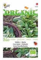 Zaden Organic Veldsla Grote Noordhollandse (BIO) Buzzy - Buzzy - thumbnail
