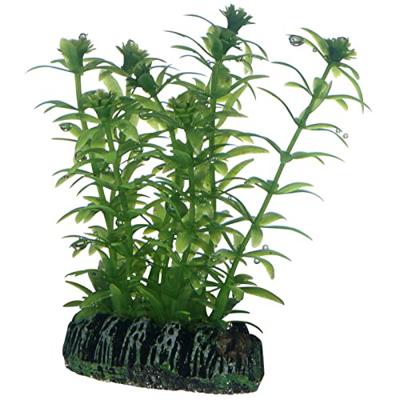Plantasy set 2 decoratie planten Hobby Smulders - Smulders