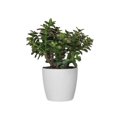 Bloempot Brussels rond 18 cm wit elho - Elho - thumbnail