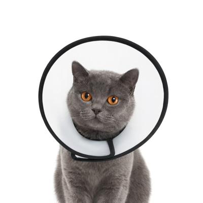 Nobleza Beschermkraag voor hond en kat - Maat S Nobleza Beschermkraag voor hond en kat - Maat S