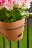 Elho Vibia campaba all-in-1 trough 70 terra - thumbnail