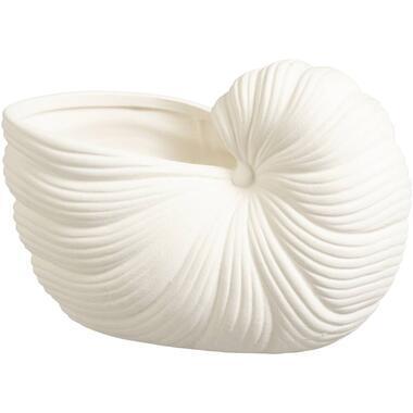 Decoratie object Schelp - off-white - 10x20x12 cm - Leen Bakker